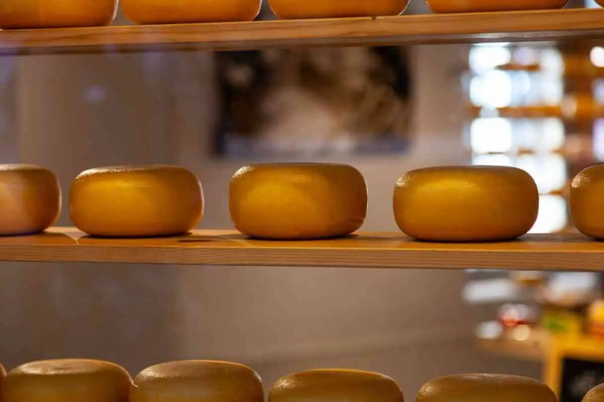 Receta del tradicional Queso Relleno Vallisoletano.