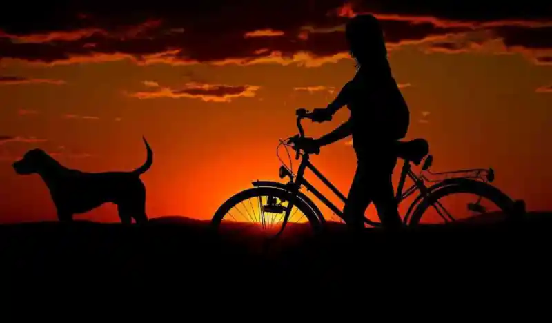 Lugares Pet-Friendly en Valladolid, Yucatán