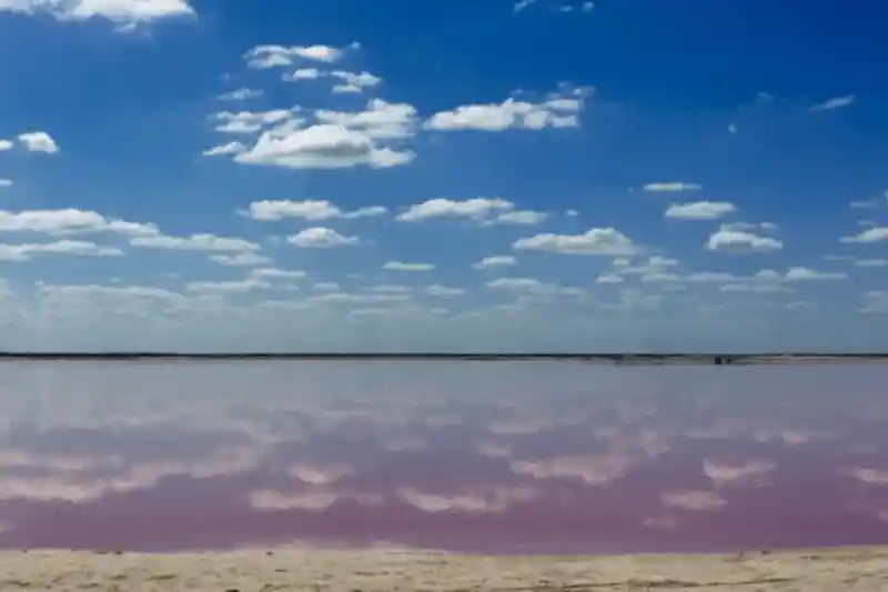 Visitando Las Coloradas desde Valladolid