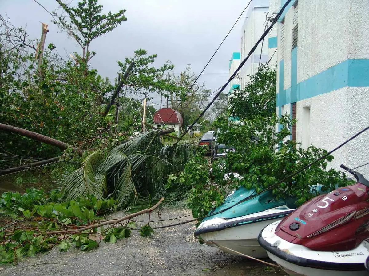 Cosas que debes hacer después de una tormenta tropical o huracán 